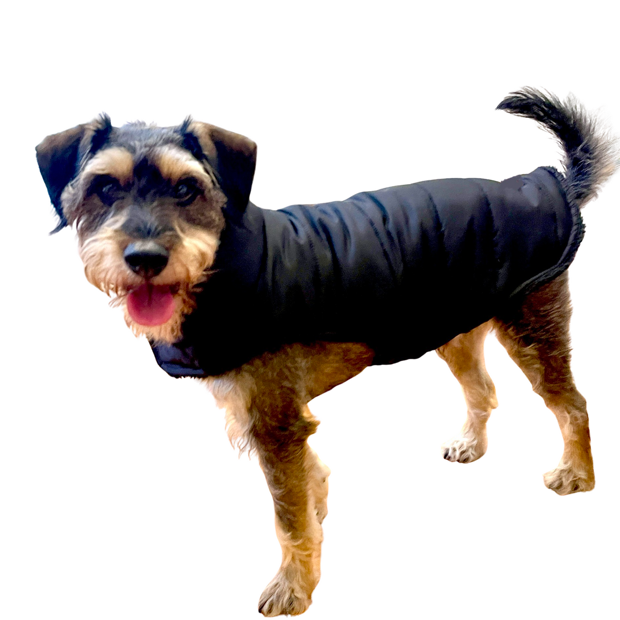 Premium Quality Faux Fur Coat (and Raincoat)
