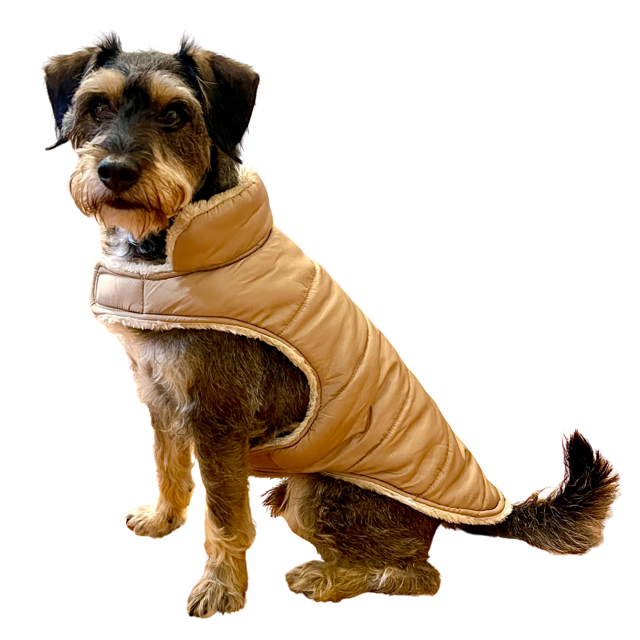 Premium Quality Faux Fur Coat (and Raincoat)