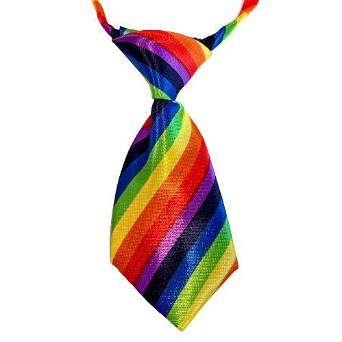 Rainbow Adjustable Soft Collar Small Tie