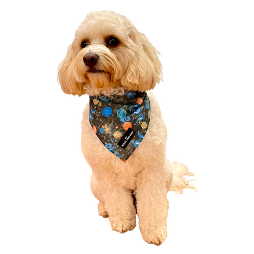 Intergalactic Space Odyssey Bandana