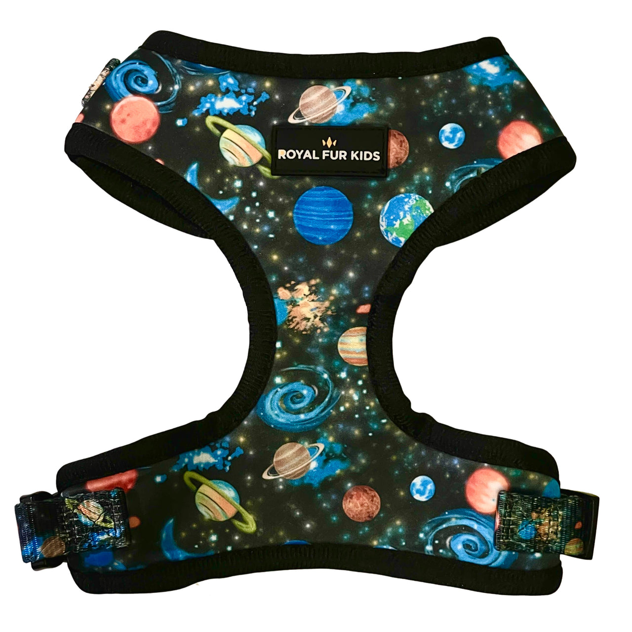 Intergalactic Space Odyssey Harness