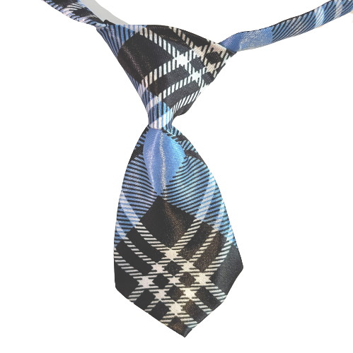 Blue Tartan Soft Adjustable Collar Small Tie