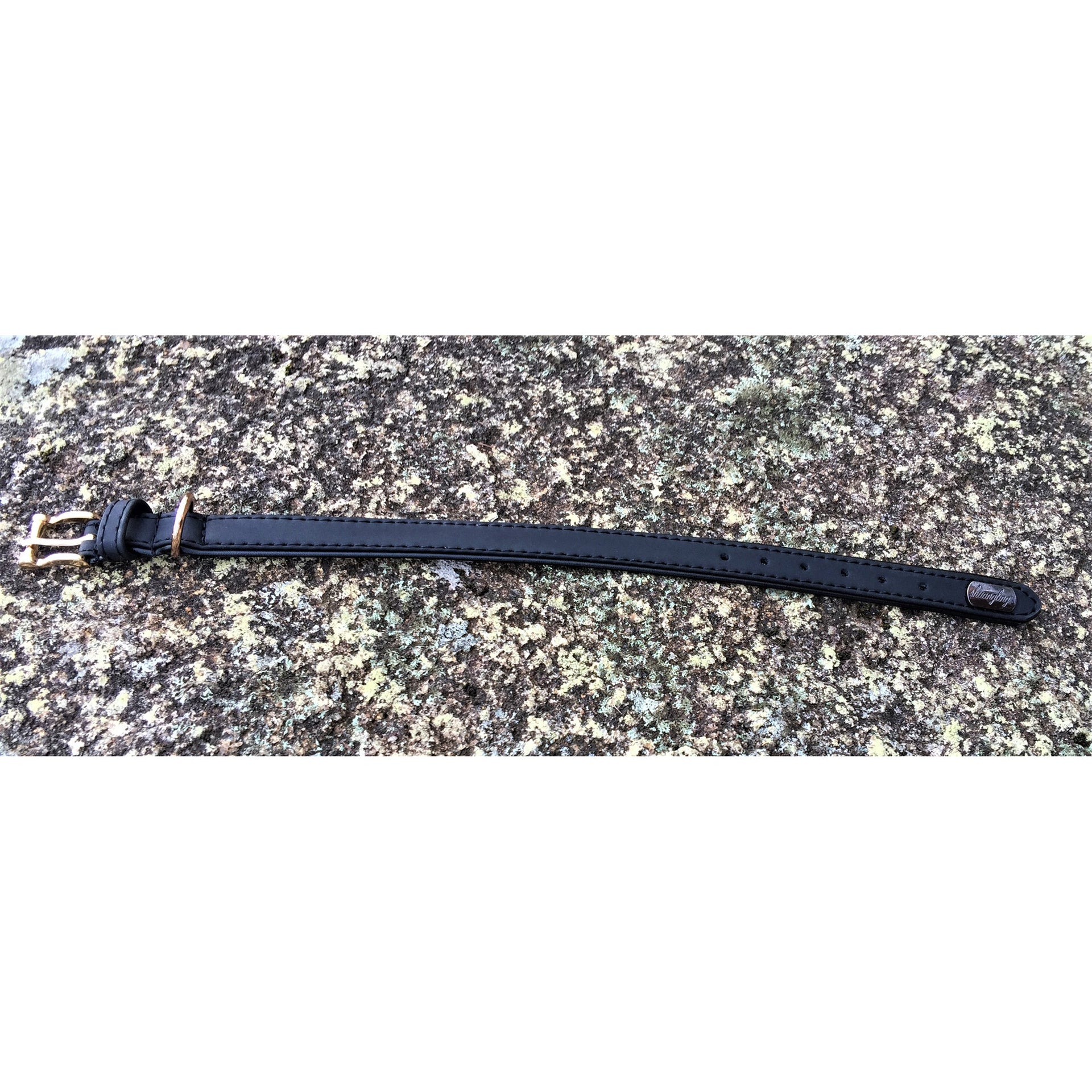 Faux Leather Dog Collar Black Outdoors