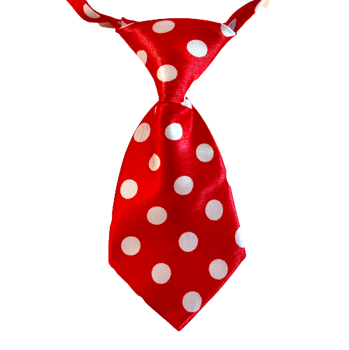 Red w Big White Polka Dots Adjustable Soft Collar Small Tie
