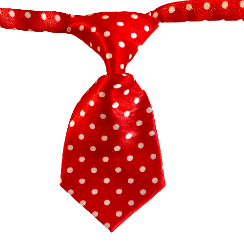 Red with Small White Polka Dots Adjustable Soft Collar Small Tie