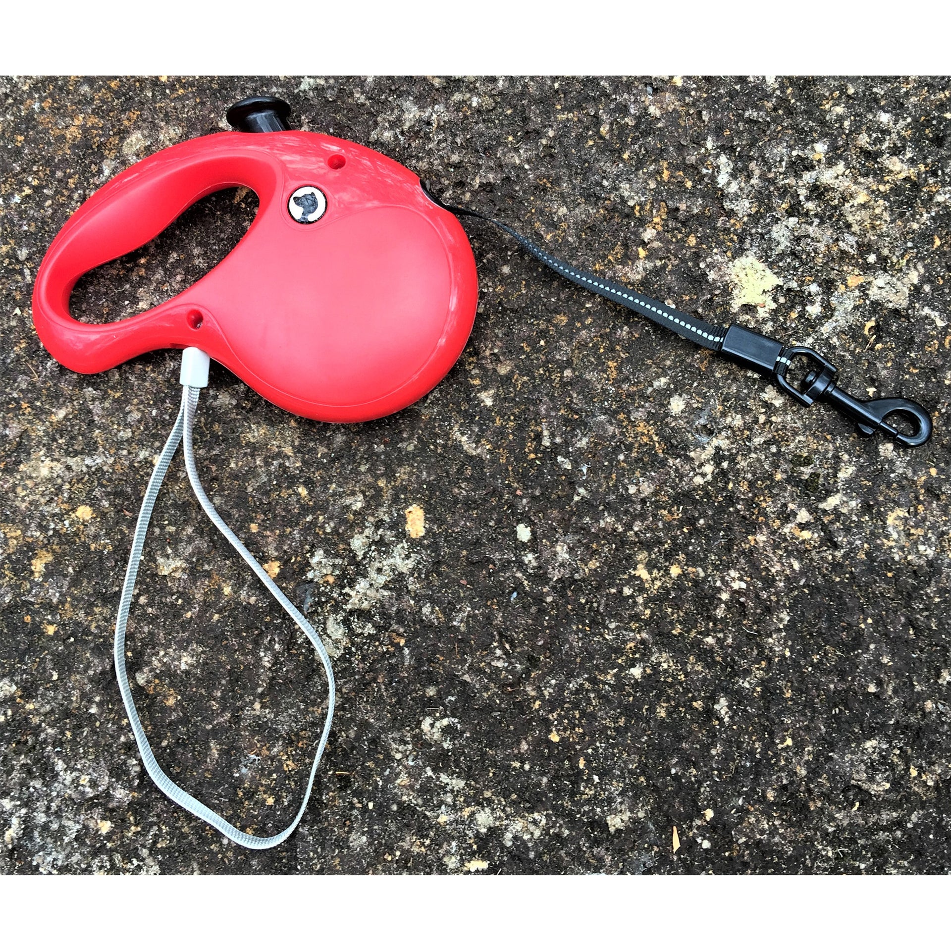 Retractable Leash Red Outdoors