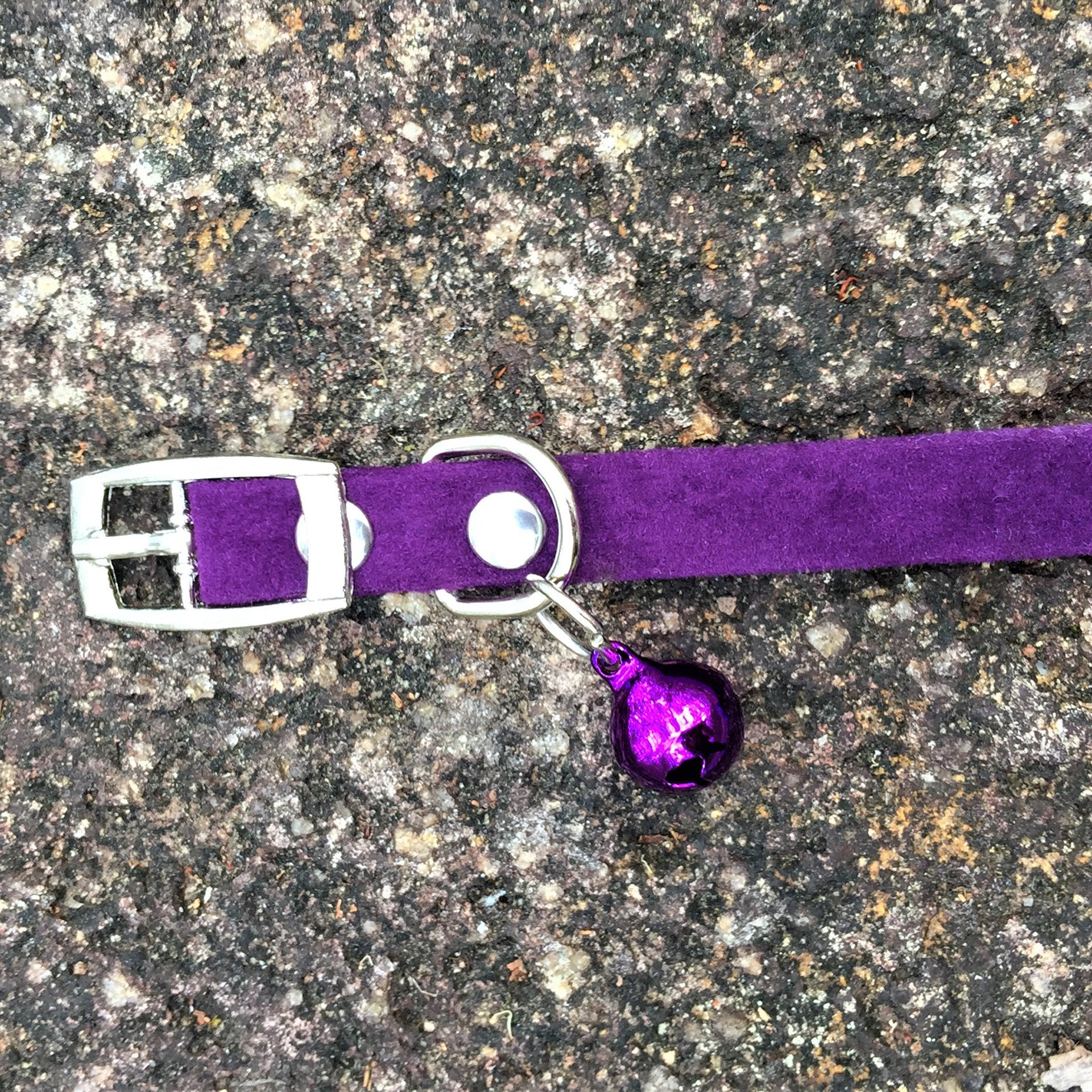 Sparkly Bow Tie Collar Purple Outdoors Bell
